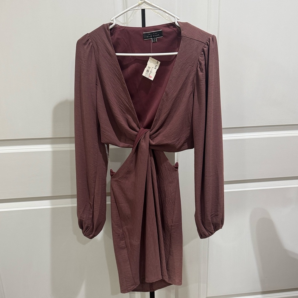 Blue Blush Mauve Twist-Front Long Sleeve Dress